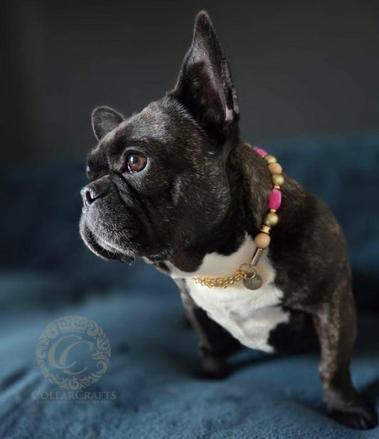 Dog collar Pink Sakura