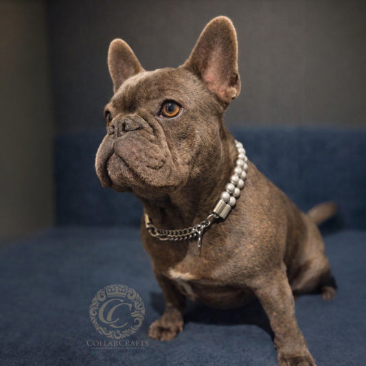 Dog collar Double Shiny Silver Mini