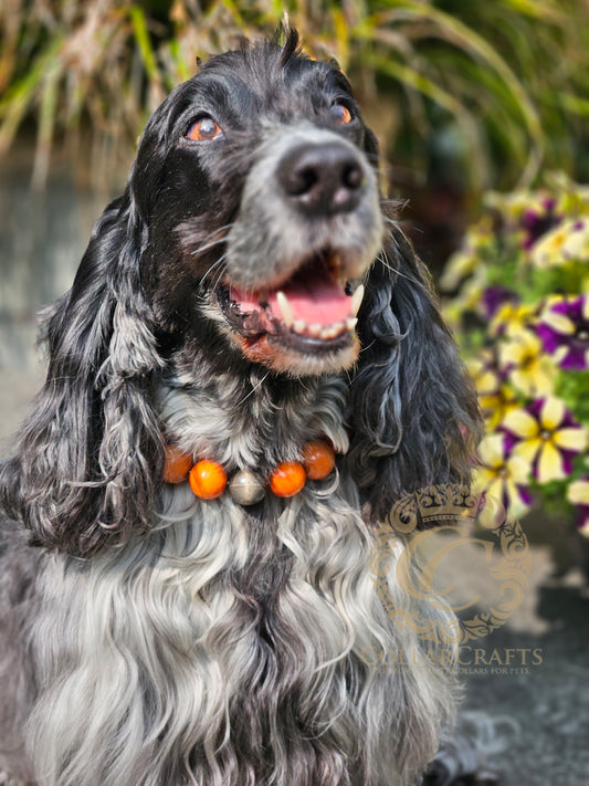 Beaded Dog Collar with orange, black, and brown beads Custom made on size Leash Safe Unbreakable Dog necklace