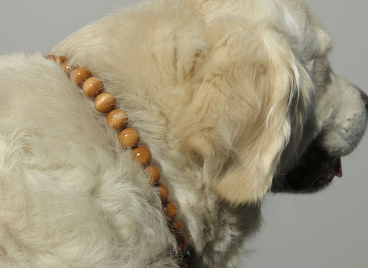 Dog collar Honey Mini | dogcollar | collar | CollarCrafts | Luxury dog collars | Designer dog collars | honden halsband | bead dog collars | brown beads collar | unbreakable dog necklace | martingale dog collars | wooden bead dog collars | alu max com dog collars | beaded collars for dogs | brown dog collars