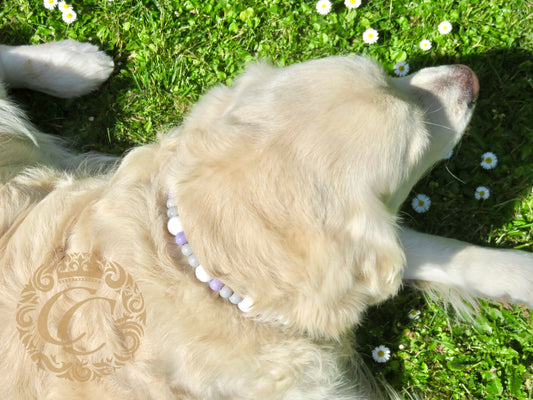 Dog collar Lilly Shadow | Dog Collars | Luxury Dog Collars | CollarCrafts | dogcollar | collar | honden halsband | Martingale dog collar | bead dog collars | collar leash set | beaded dog collar | dog accessories | wooden bead dog collars | alu max com dog collars | Summer collars for dogs | Lilac dog collars and leashes