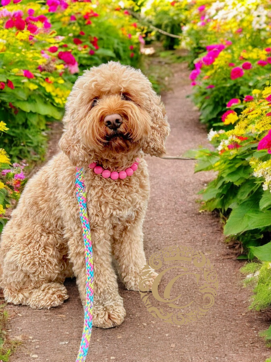 CollarCrafts Vivid Pink Maxi Beaded Dog Collar with vibrant pink beads, stylish and durable pet accessory