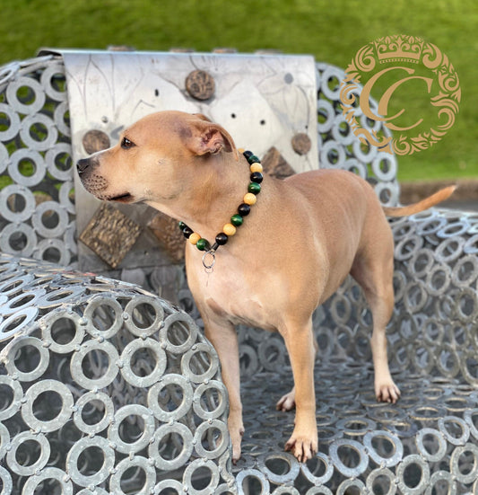 Dog collar Hiking Dog