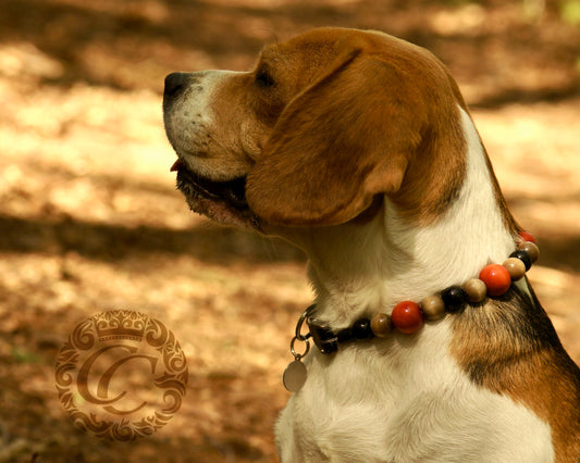 Handmade dog collar Ginger | Dog Collars | Cat Collars | CollarCrafts | dogcollar | collar | hondenhalsband | hondenband | Kattenhalsband | bead dog collars | cat mood collar | beaded dog collar | beaded dog collars | wooden bead dog collars | alu max com dog collars | beaded collars for dogs | rainbow dog collars | collarcrafts