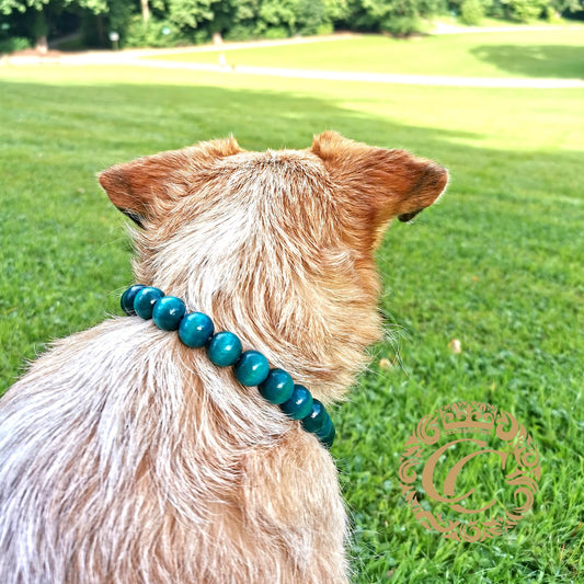 Dog collar Aqua Mini | Handmade Dog Collars | Necklaces for dogs | CollarCrafts | dogcollar | collar | honden halsband | bead dog collars | buckle dog collar | martingale dog collar | luxury dog collars | wooden bead dog collars | alu max com dog collars | beaded collars for dogs | turquoise dog collars