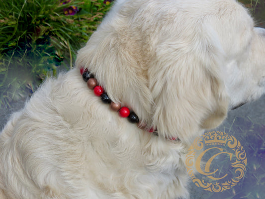 Dog collar Black Red Gold Mini | Cat Collars | CollarCrafts | dogcollar | collar | hondenhalsband | hondenband | Kattenhalsband | bead dog collars | cat mood collar | beaded dog collar | beaded dog collars | wooden bead dog collars | alumax dog collars | martingale dog collars | buckle dog collars |beaded collars for dogs | rainbow dog collars | dog necklace unbreakable | collarcrafts