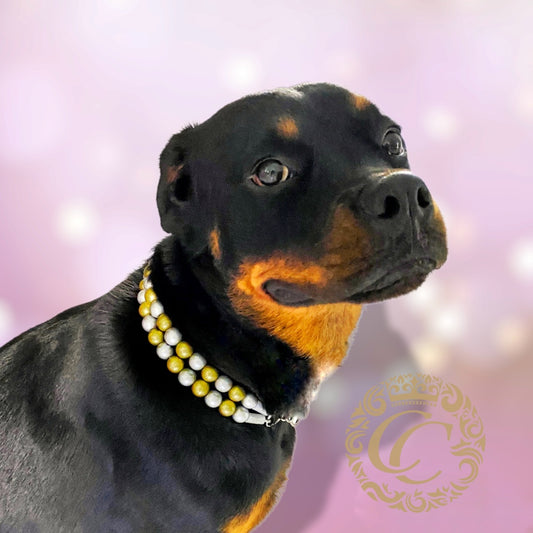 Dog collar Bokken's Chique | Luxury Dog Collars | Silver Gold dog Collars | CollarCrafts | dogcollar | collar | honden halsband | Buckle dog collar Christmas | bead dog collars | Holiday mood collar | Silver gold dog collar | beaded dog collars | wooden bead dog collars | alu max com dog collars | beaded collars for dogs | Christmas dog collars |