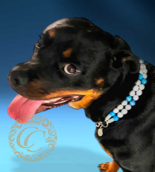 Dog collar Double Silver Sky