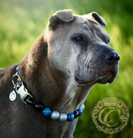 Handmade dog collar Blue Silver | Dog Collars | Cat Collars | CollarCrafts | honden halsbanden | dogcollar | collar | hondenband | Kattenhalsband | bead dog collars | cat mood collar | beaded dog collar | beaded dog collars | wooden bead dog collars | alu max com dog collars | beaded collars for dogs | rainbow dog collars