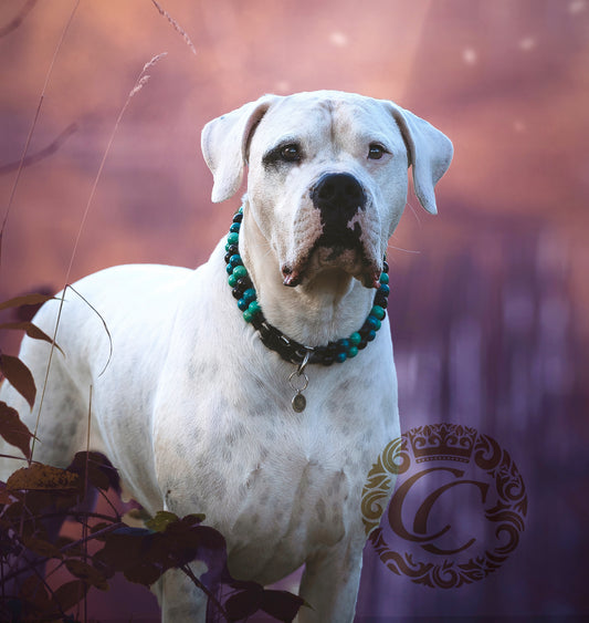 dogcollar | collar | Dog collar "Double Midi Green" | Dog Collars | CollarCrafts | hondenhalsband | bead dog collars | mood collar | beaded dog collar | beaded dog collars | wooden bead dog collars | alu max com dog collars | beaded collars for dogs | rainbow dog collars | collarcrafts