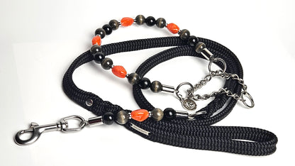 Unbreakable dog jewelry CollarCrafts collar Noir Ember wiith martingale closure, with a matching leash
