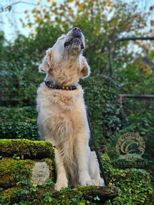 beaded Doog Collar CollarCrafts Black Gold Beads Unbreakable Dog Necklace Large Dogs Luxury Dog Collar beads