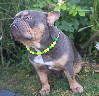 A French Bulldog wearing a colorful beaded collar CollarCrafts with green, yellow, and white beads, set against a background of green garden foliage.