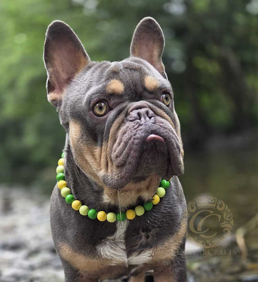 A French Bulldog wearing a green and yellow beaded collar, photographed outdoors against a blurred green background. A 'CollarCrafts' watermark is visible on the bottom right.