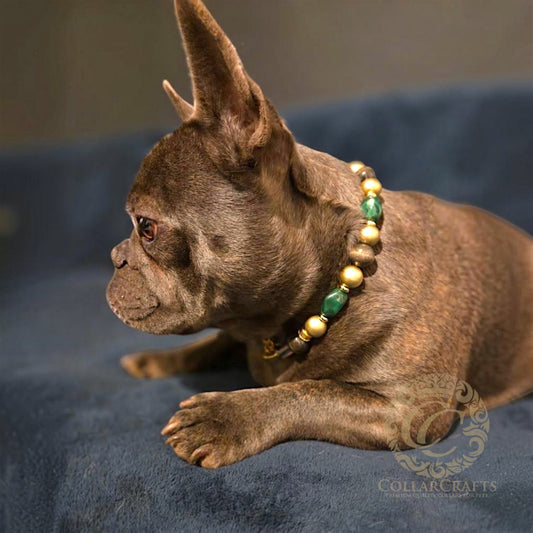 Luxury emerald green beaded dog collar with gold hardware and wooden beads, handmade designer dog collar by CollarCrafts for dogs of all sizes, beaded dog collar CollarCrafts on a french bulldog