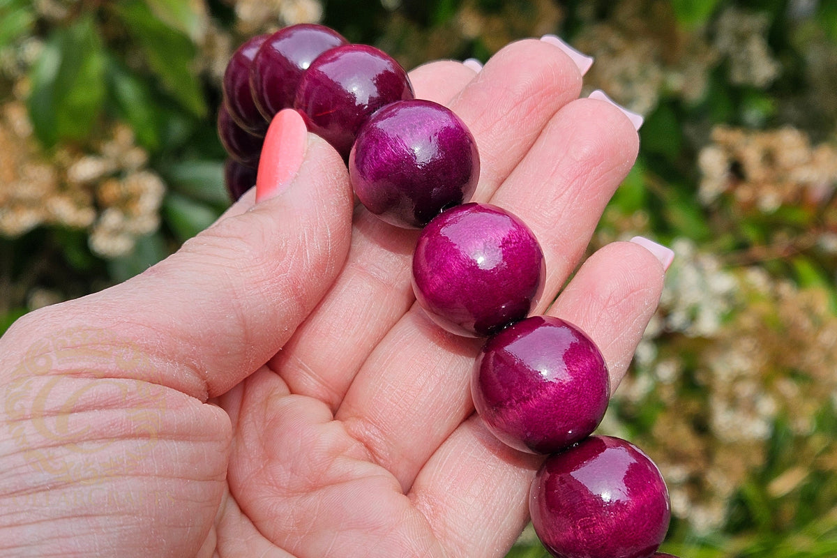 Dog collar Aubergine Maxi