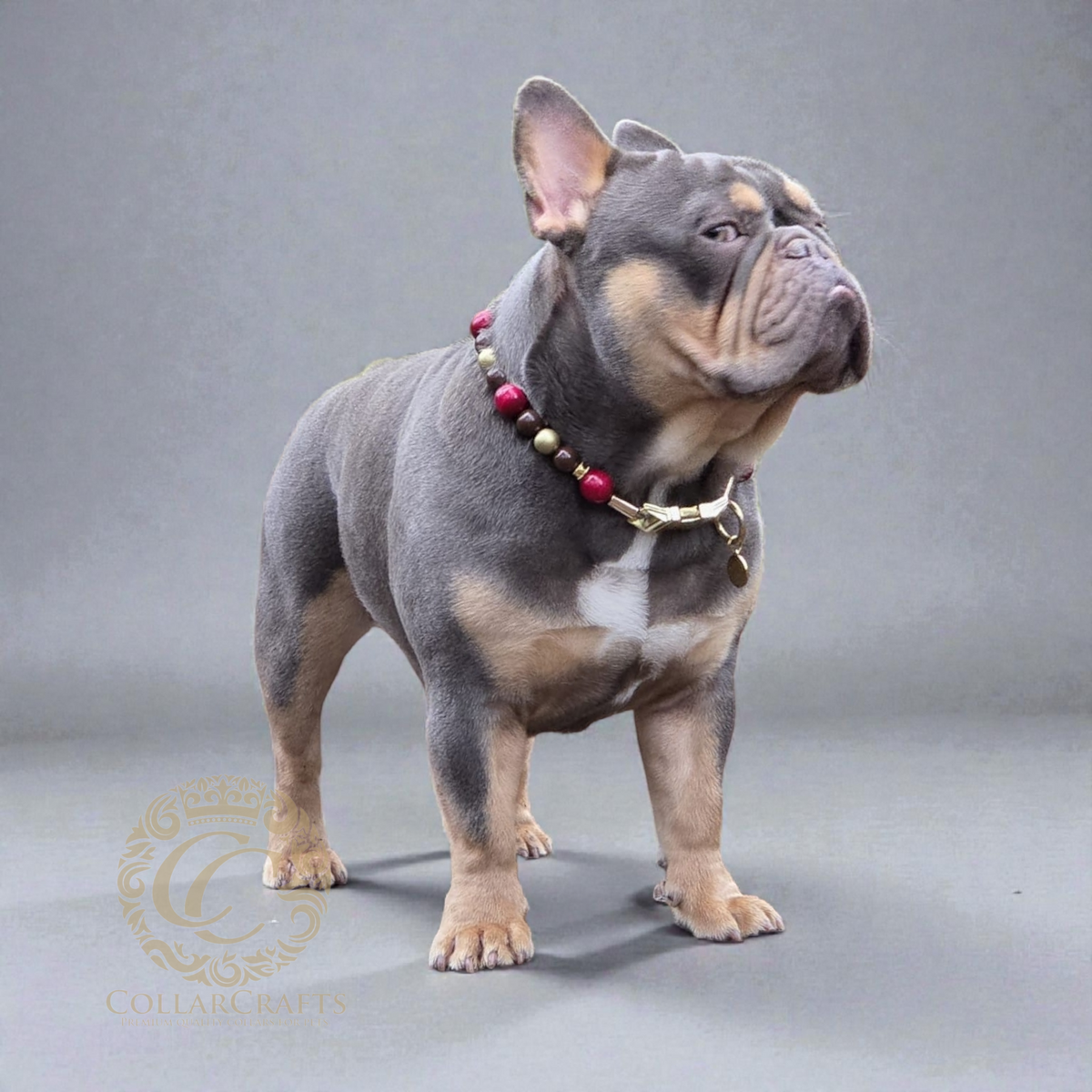 Premium Beaded Burgundy Aurora dog collar with gold hardware and bordeaux, golden and metallic color beads, designed for stylish and leash-safe everyday wear.