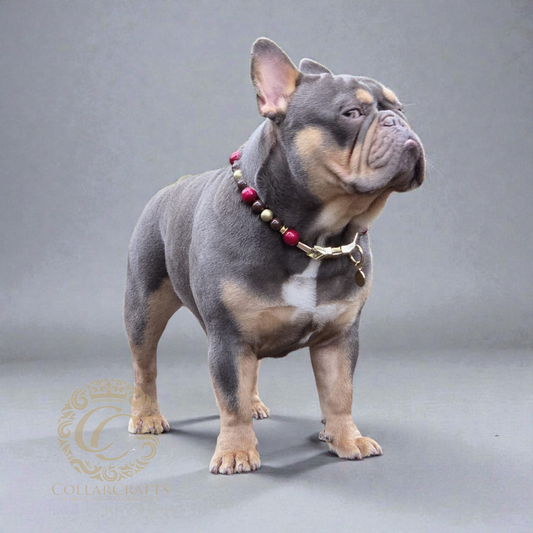 Premium Beaded Burgundy Aurora dog collar with gold hardware and bordeaux, golden and metallic color beads, designed for stylish and leash-safe everyday wear.