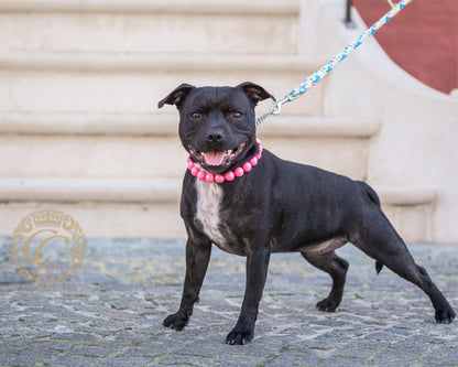 CollarCrafts Vivid Pink Maxi Beaded Dog Collar with vibrant pink beads, stylish and durable pet accessory