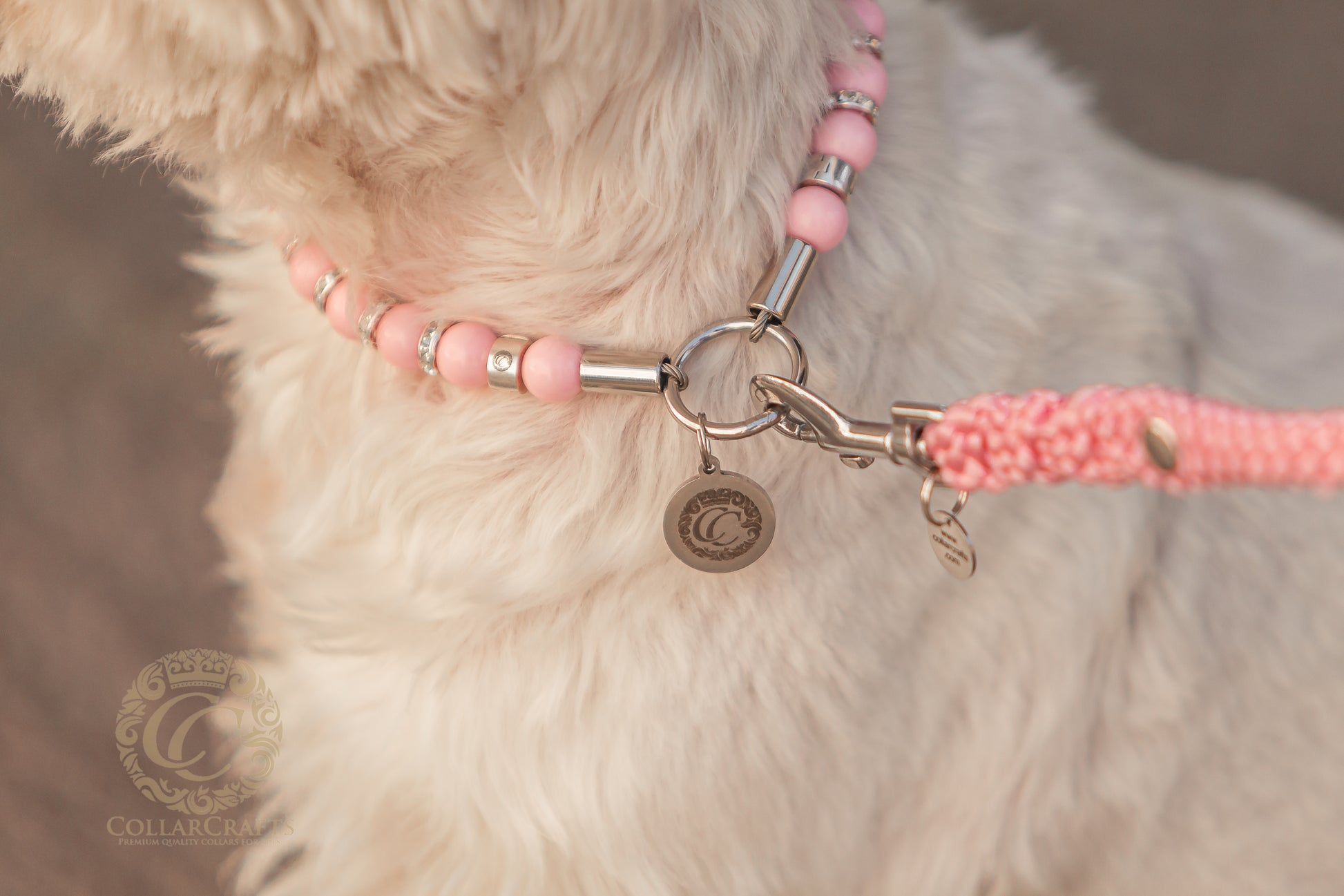 ID Tag Dog Collars | dogcollar | collar | hondenhalsband | hondenband | Kattenhalsband | bead dog collars | cat mood collar | beaded dog collar | beaded dog collars | wooden bead dog collars | alu max com dog collars | beaded collars for dogs | rainbow dog collars | collarcrafts