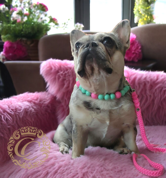 CollarCrafts dog collar Pistache Dessert Turquoie Pink Dog Collar
