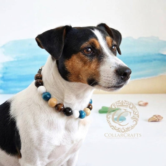 Dog collar River Wood Mini