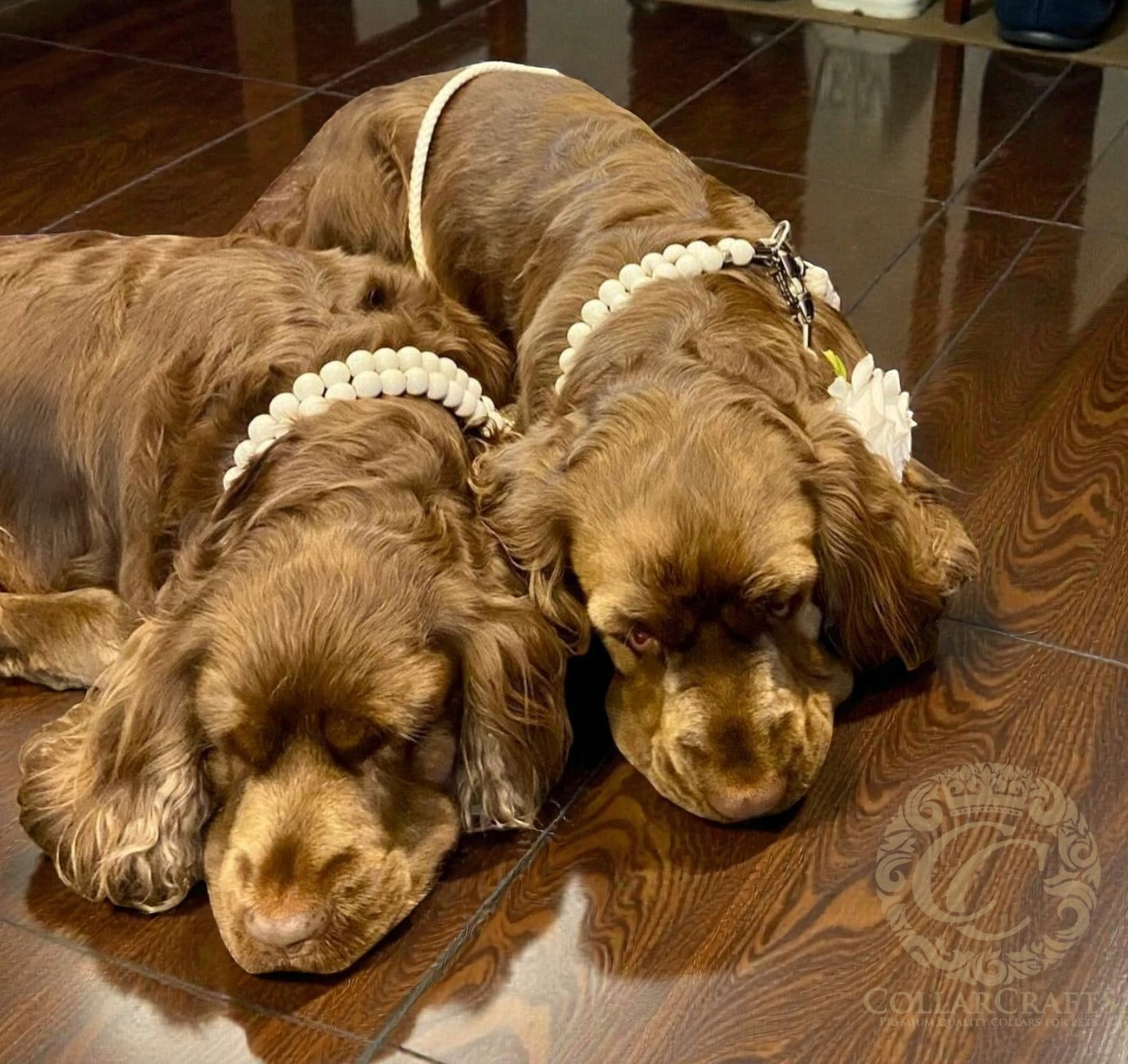 Dog collar Bella Beads