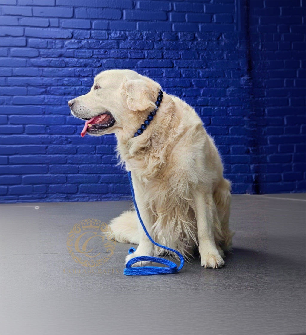 Dog leash for medium & large dogs Royal Blue with a matching Royal Blue Beaded collar on a golden retriver | CollarCrafts Dog Leashes | Paracord leashes | Handmade dog leash | Custom length Leashes for Dogs | Blue leash for dog | Collar leash sets for dogs | Washable leash | Honden leibanden | Leiband Paracord | CollarCrafts | 