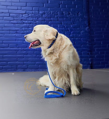Dog leash for medium & large dogs Royal Blue with a matching Royal Blue Beaded collar on a golden retriver | CollarCrafts Dog Leashes | Paracord leashes | Handmade dog leash | Custom length Leashes for Dogs | Blue leash for dog | Collar leash sets for dogs | Washable leash | Honden leibanden | Leiband Paracord | CollarCrafts | 
