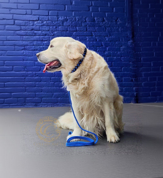 Dog leash for medium & large dogs Royal Blue with a matching Royal Blue Beaded collar on a golden retriver | CollarCrafts Dog Leashes | Paracord leashes | Handmade dog leash | Custom length Leashes for Dogs | Blue leash for dog | Collar leash sets for dogs | Washable leash | Honden leibanden | Leiband Paracord | CollarCrafts | 