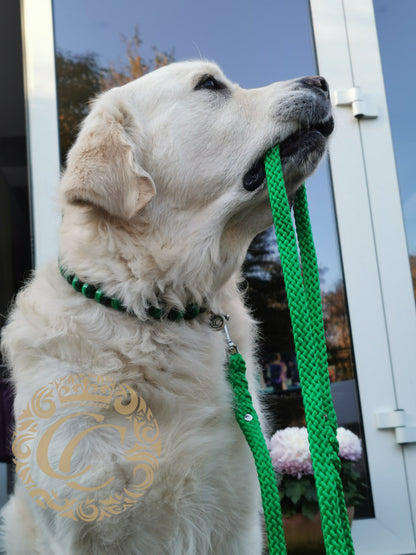 Dog leash Green | Handmade Dog Leashes | Dog leash paracord | CollarCrafts | dogleash | leash | hondenleiband | honden leiband | paracord dog lead | Dog leash washable | paracord leash | Green dog leash | custom dog leash | Green dog leash | dog collar leash set | collarcrafts