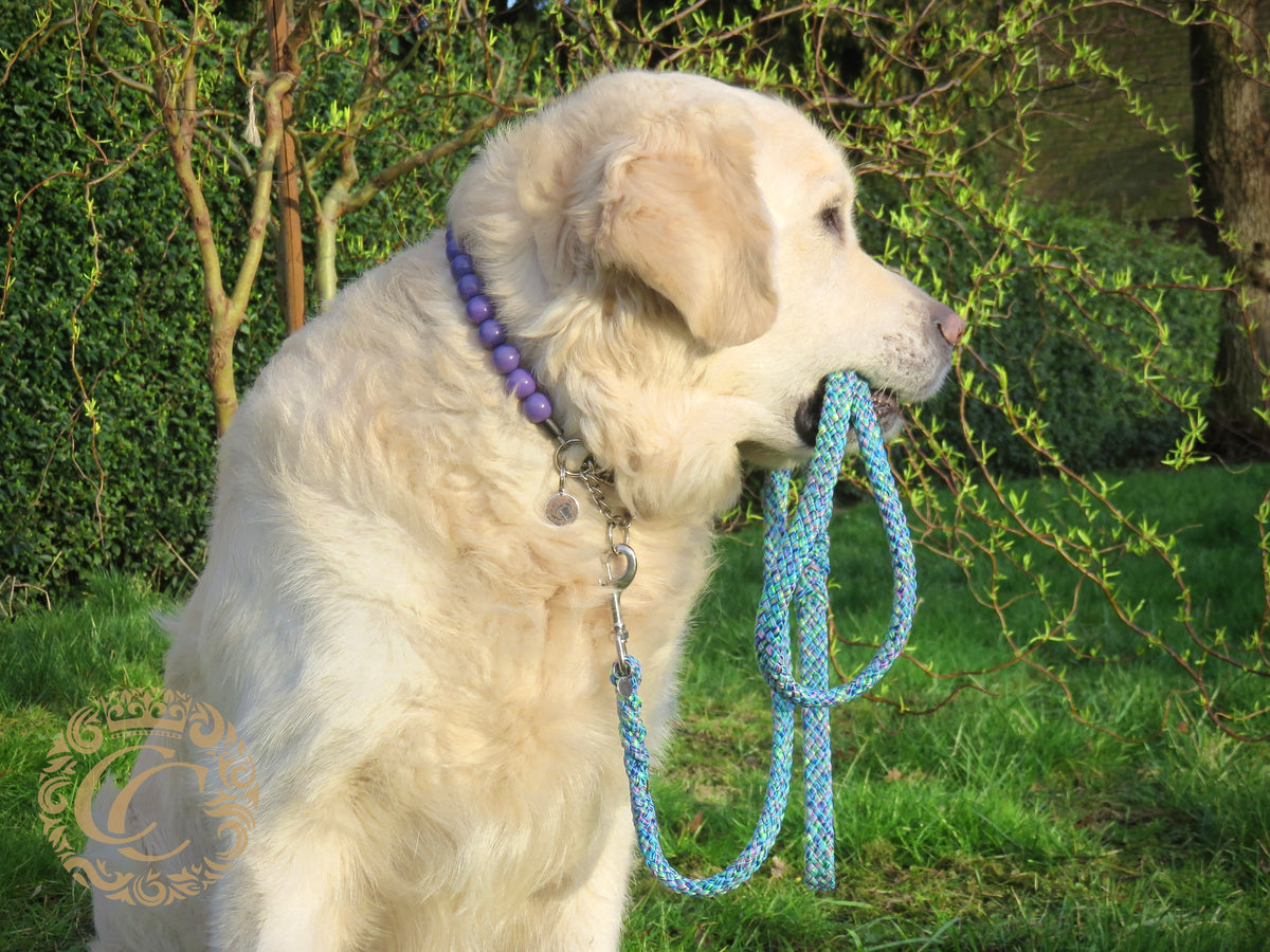 Dog leash Morning Mist | Handmade Dog Leashes | Dog leash paracord | CollarCrafts | dogleash | leash | hondenhalsband | honden leiband | paracord dog lead | Dog leash washable | paracord leash | Green purple dog leash | custom dog leash | Fancy leash  for large dogs | dog collar leash set | collarcrafts