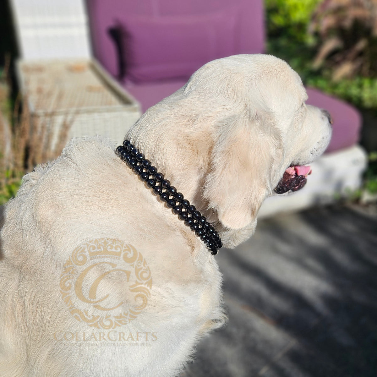 Dog collar Double Black Rowan