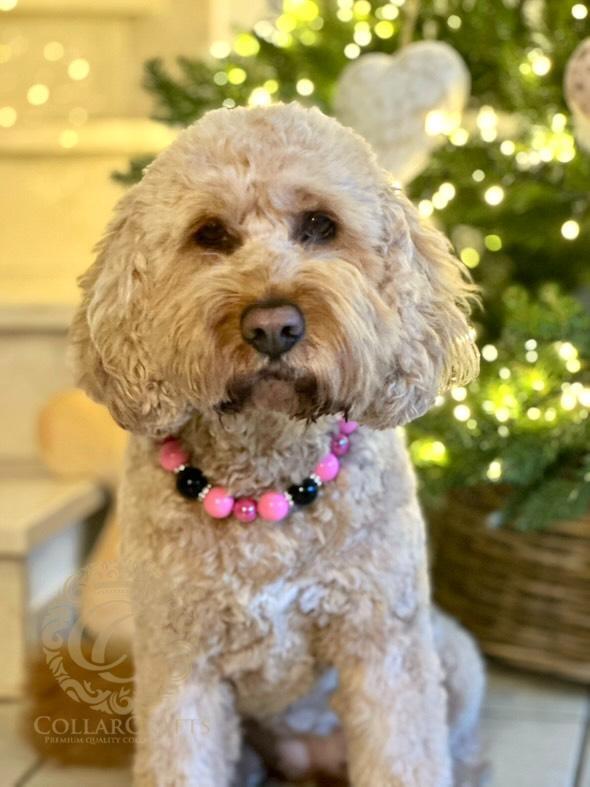 Dog Collar Bubblegum Rockstar