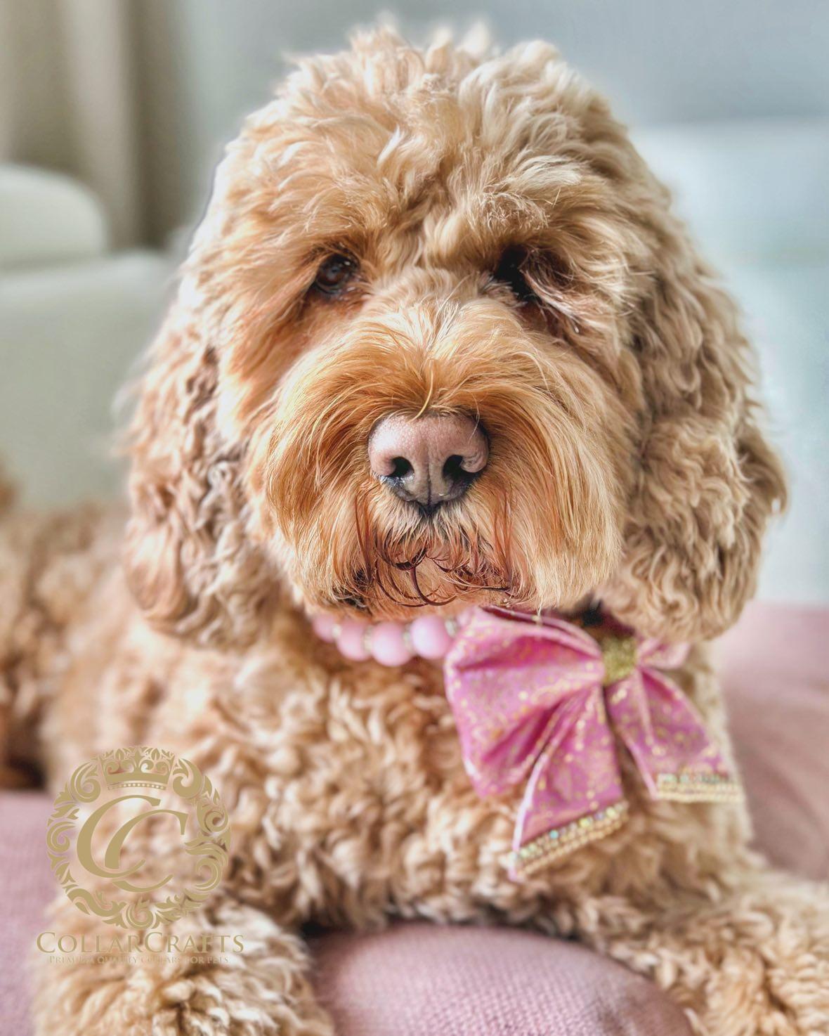 Dog collar Pink Sparkle & Beads LUX Pink Sparkle Beadses CollarCrafts Dog Collar Girly Pink Party Dog Collar Girls Pink Beads Unbreakable Dog Necklace 