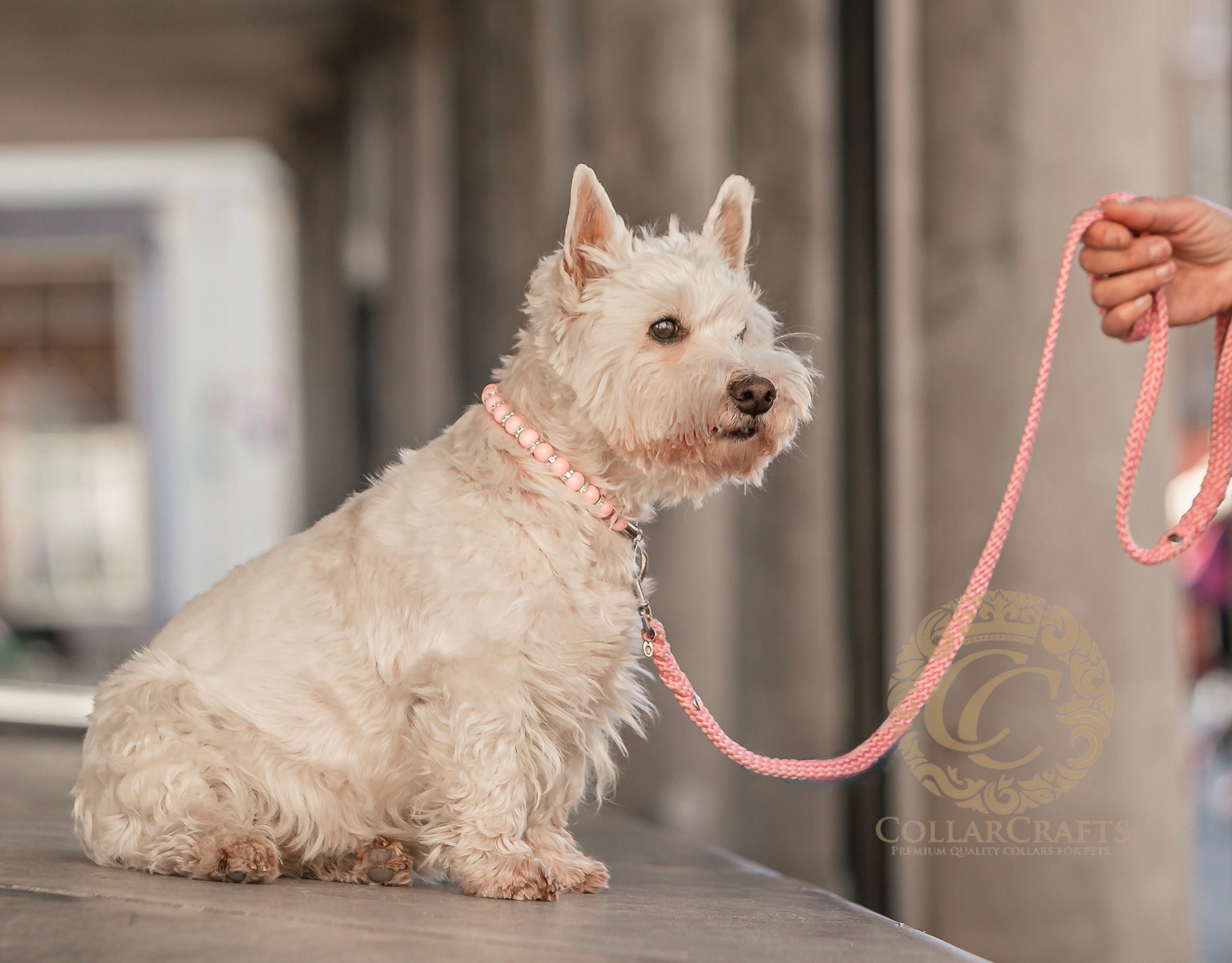 Dog Collar CollarCrafts Sparkle and Beads Pink Mini Custom Made For All Dog Sizes Luxury Dog Necklace Unbreakable Leash Safe Beaded Dog Collar