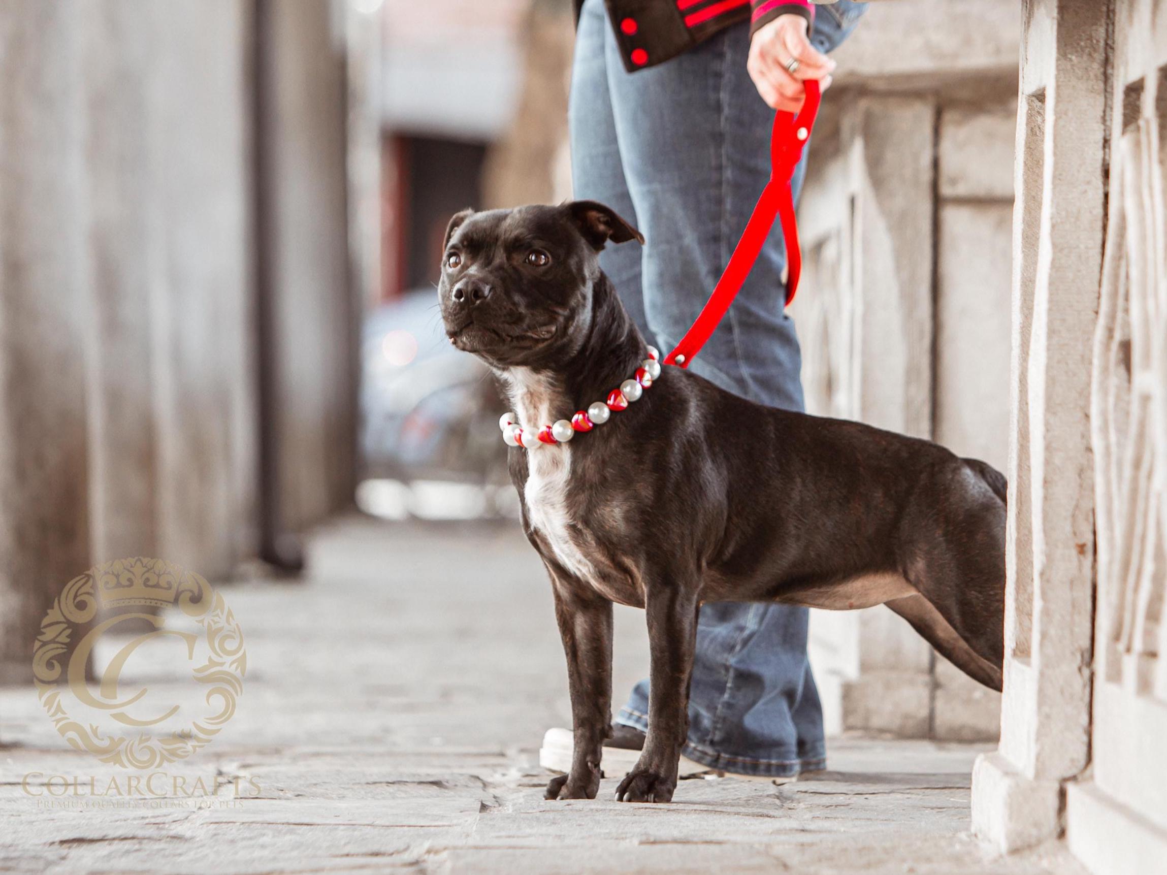 Dog Collar Pearl Love
