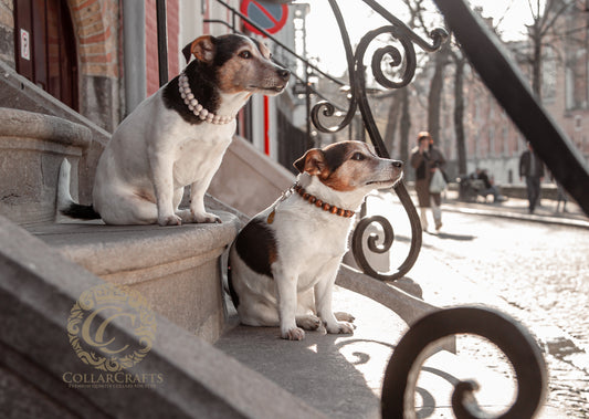 Dog collar Mr.Poirot| dogcollar with wooden beads | collar | CollarCrafts | Luxury dog collars | Designer dog collars |  honden halsband | bead dog collars | brown beads collar for dog | unbreakable dog necklace | martingale dog collars | wooden bead dog collars | alu max com dog collars | beaded collars for dogs | brown dog collars