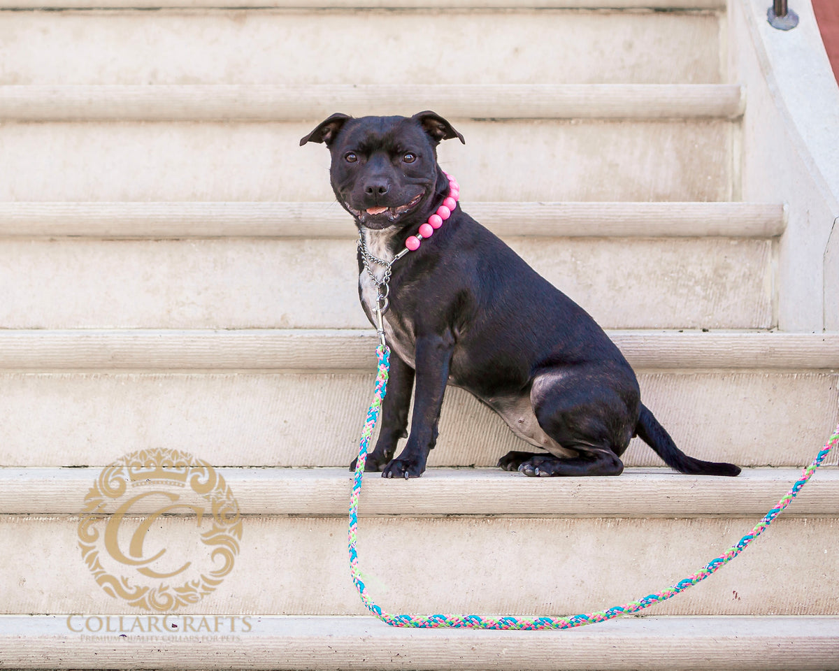 Dog Leash Handmade  Candy Crush CollarCrafts Dog Leashes | Dog Collars | CollarCrafts | dogleash | custom made leash | hondenhalsband | honden leiband | paracord dog lead | washable dog leash | comfortablme dog leash | fancy dog leashes | Pink dog leash flashy colors | collarcrafts