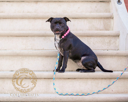 Dog Leash Handmade  Candy Crush CollarCrafts Dog Leashes | Dog Collars | CollarCrafts | dogleash | custom made leash | hondenhalsband | honden leiband | paracord dog lead | washable dog leash | comfortablme dog leash | fancy dog leashes | Pink dog leash flashy colors | collarcrafts