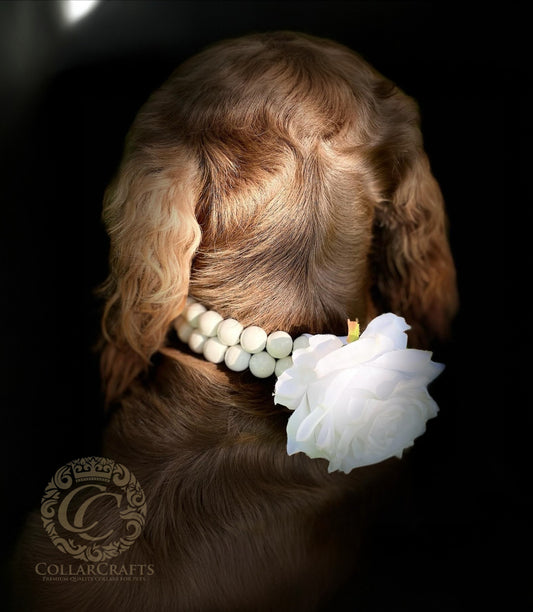 Beaded dog collar CollarCrafts with a faux flower on a spaniel dog