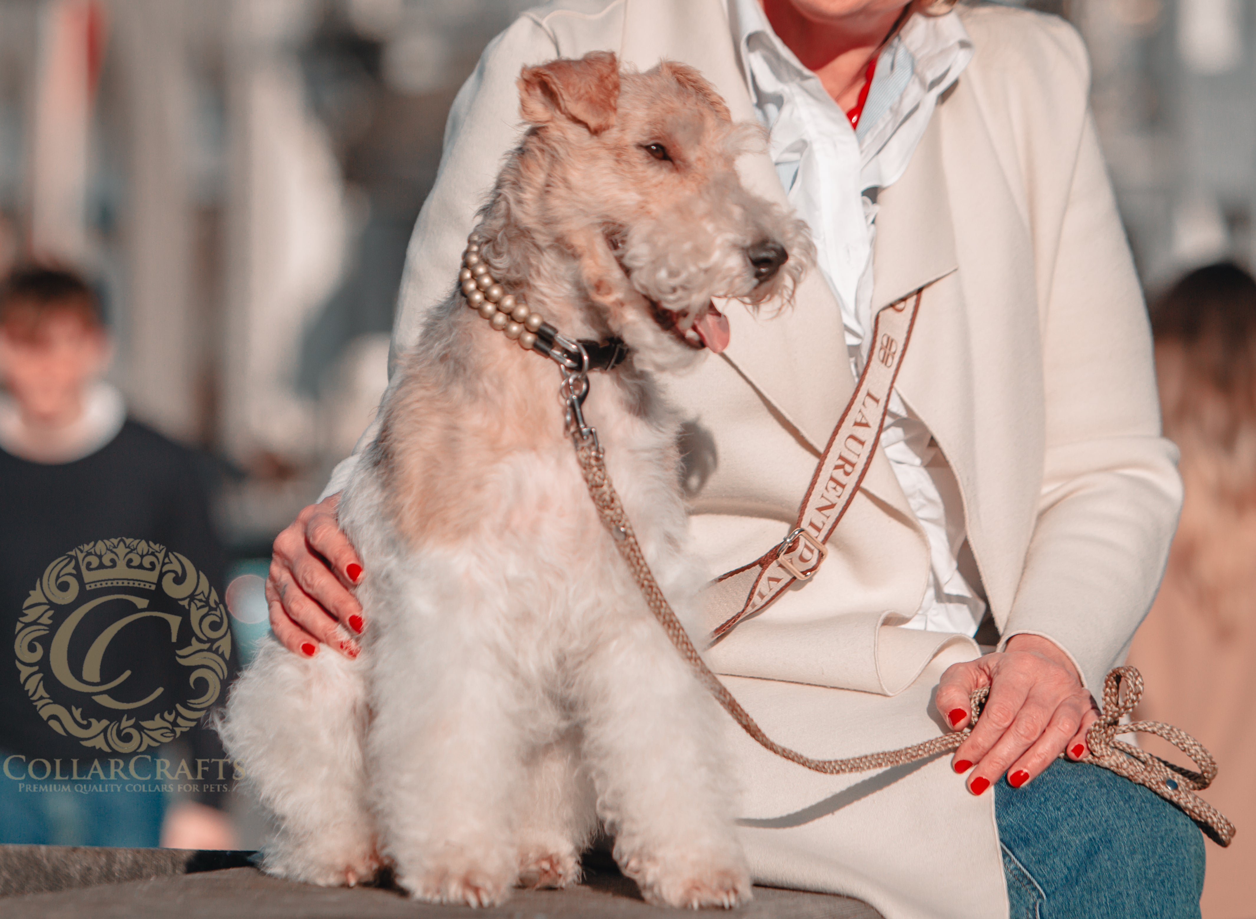 Dog collar Double Shiny Gold Mini