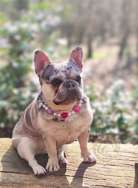 Beaded Dog Collar Pink Purple Pearls Chic Collar Pearls With Bright Pink And Purple Acrylic Beads