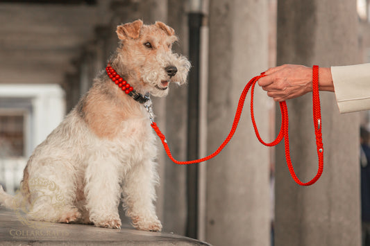 Dog leash for small dogs Red
