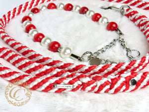 Beaded Christmas Dog Collar Candy Cane Unbreakable Dog Necklace Large Dogs Beaded Collar Leash Set CollarCrafts