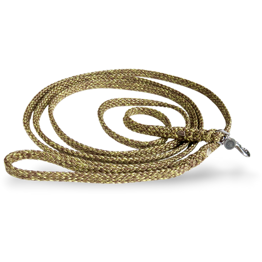 Dog leash for small dogs Rusty Gold Mini