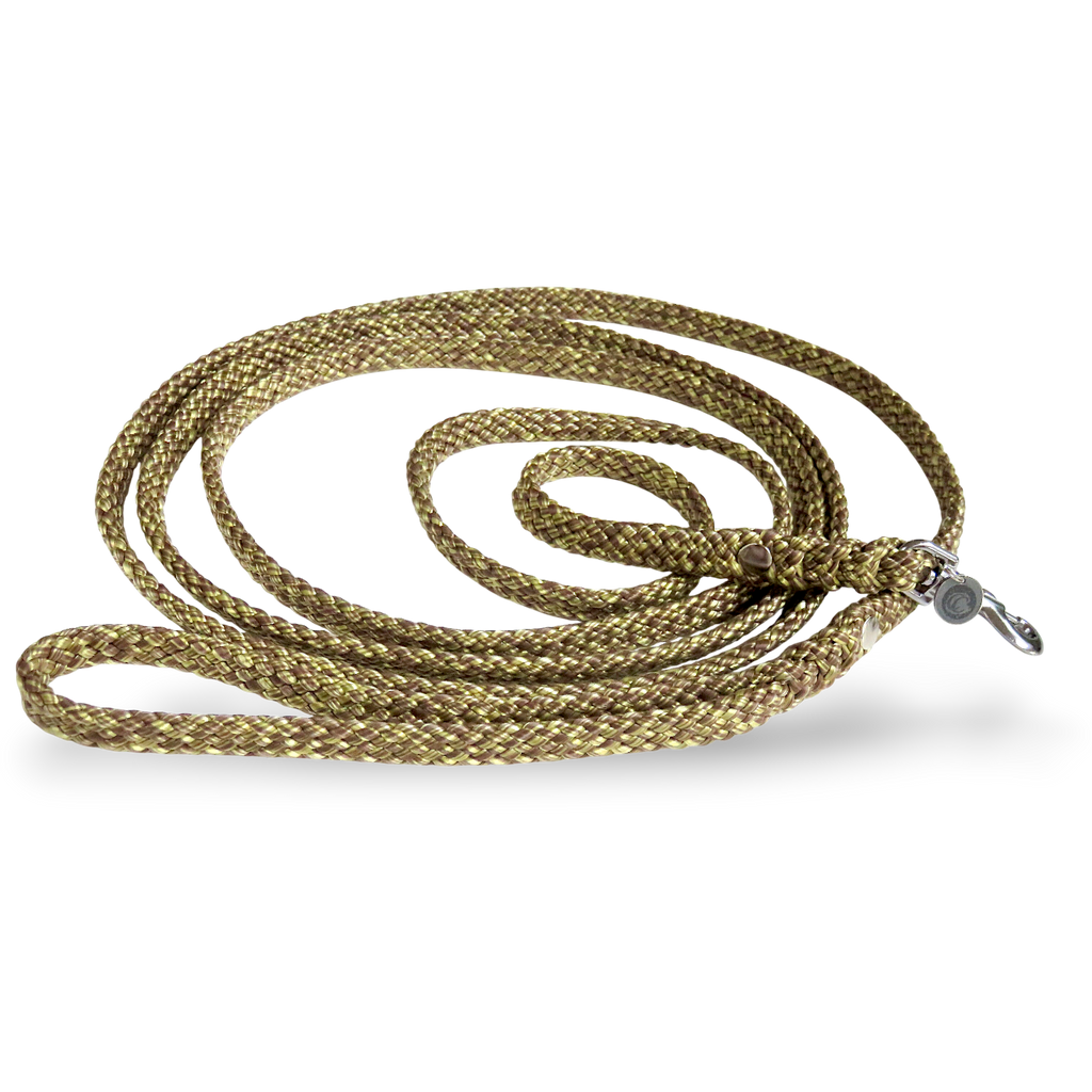 Hondenriem voor kleine honden Rusty Gold Mini