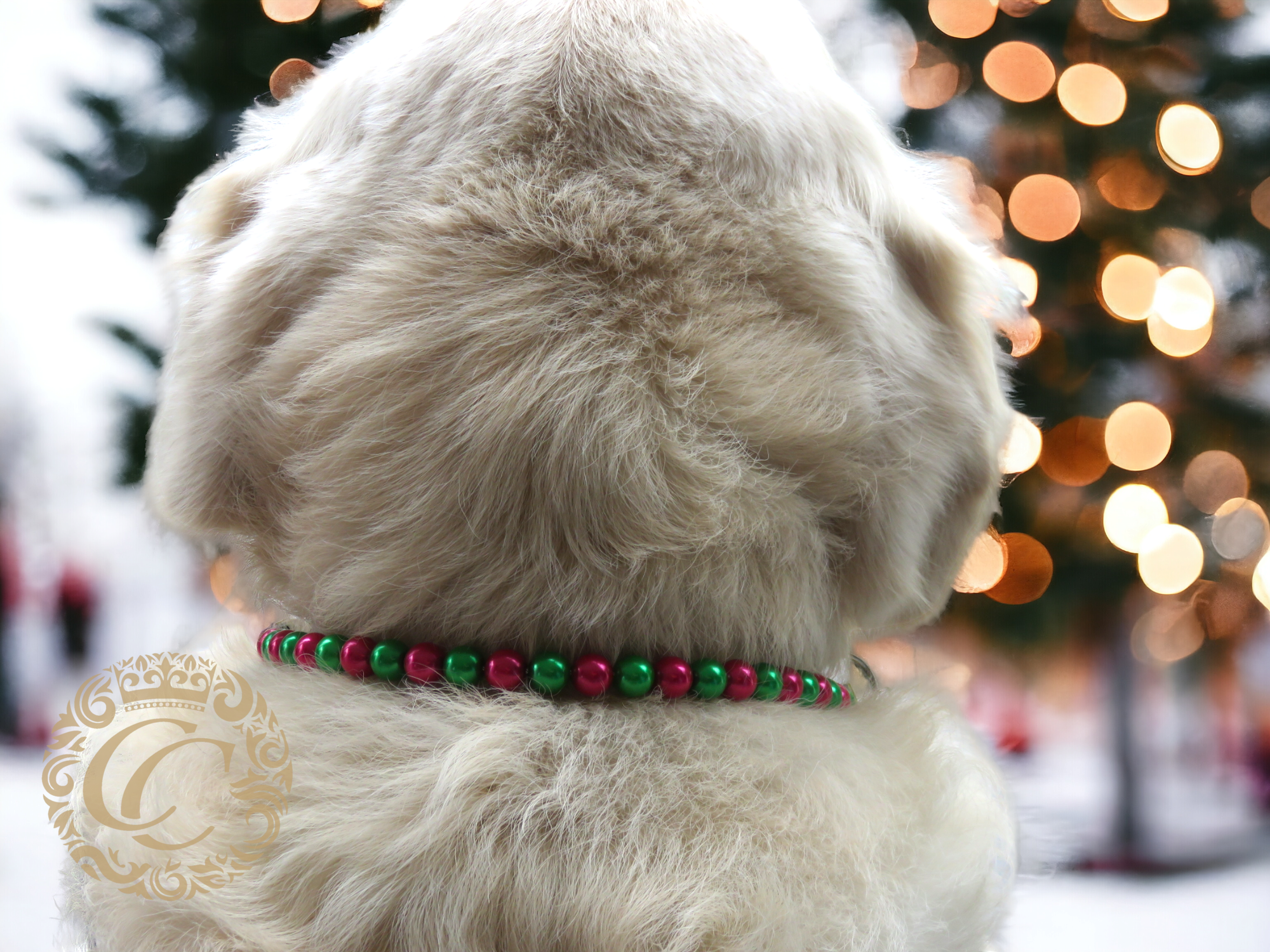Dog collar XMas Mini | Dog Collars | Unbreakable dog neckaces | CollarCrafts | Green Red Dog collar | collar | hondenhalsband | Halsbanden | Honden halsband | Acrylic beads dog neckware | Custom made dog collar | beaded dog collar | Luxury dog collars | Acrylic pearls dog collars | alu max com dog collars | beaded collars for dogs | Christmas dog collars | CollarCrafts
