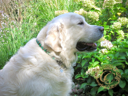 Dog collar Emerald Maxi | collar | hondenhalsband | Luxury dog collars | Handmade dog collars | bead dog collars | Green dog collar | beaded dog collar | Green collar leash set | wooden bead dog collars | alu max com dog collars | beaded collars for dogs | Unbreakable dog necklaces | CollarCrafts