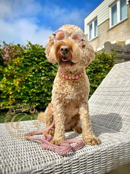 Handmade dog leash Pink Beige | Dog Leashes | Dog Collars | CollarCrafts | dogleash | leash | hondenhalsband | honden leiband | paracord dog lead | bead dog collars | paracord leash | beaded dog collar | beaded dog collars | Pink dog leash | dog collar leash set | collarcrafts